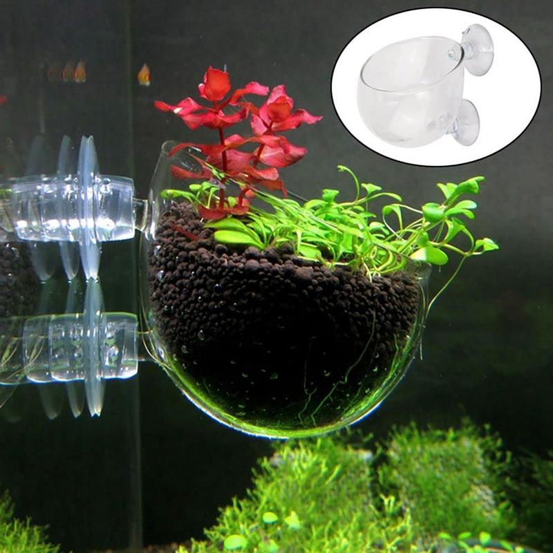 Aquarium Fish Pot - Aquarium Decorations Plant Cup Pot Acrylic