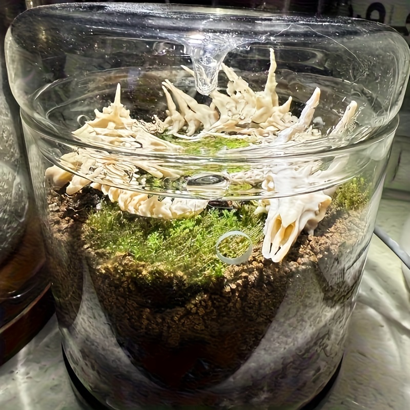 1pc Dragon-Shaped Fishbone Dec - Aquarium Fish Dragon 评论和价格