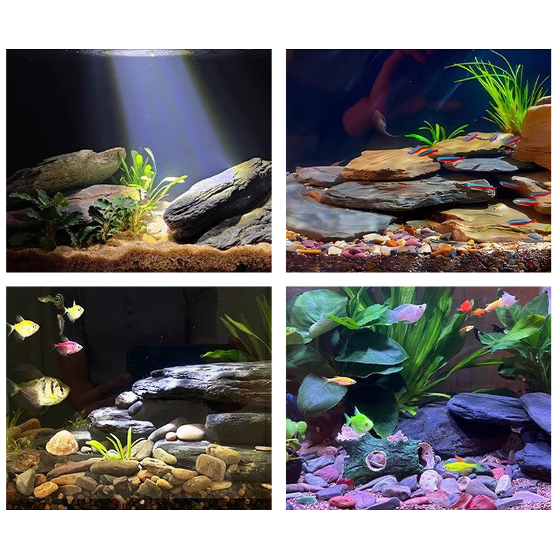 500/1000g Fish Tank Landscape  - Aquarium Fish Gallery 评论和价格