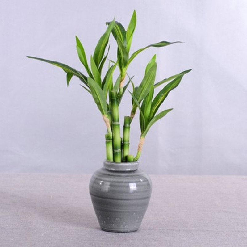 New 40cm Artificial Lucky Bamb - Aquarium Fish Gallery 评论和价格
