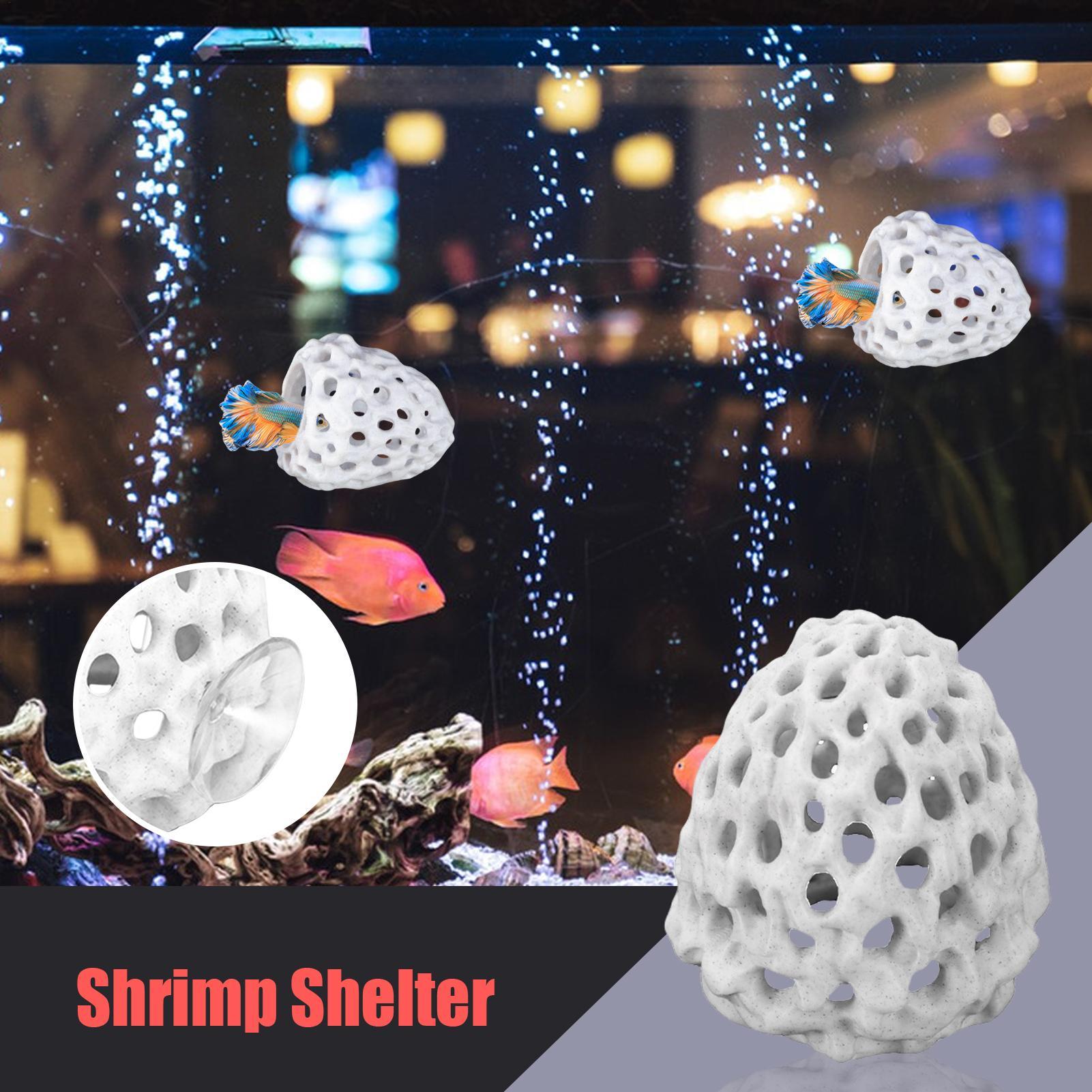 Small Aquarium shrimp house Ca - Aquarium Fish Hiding Spot 评论和价格