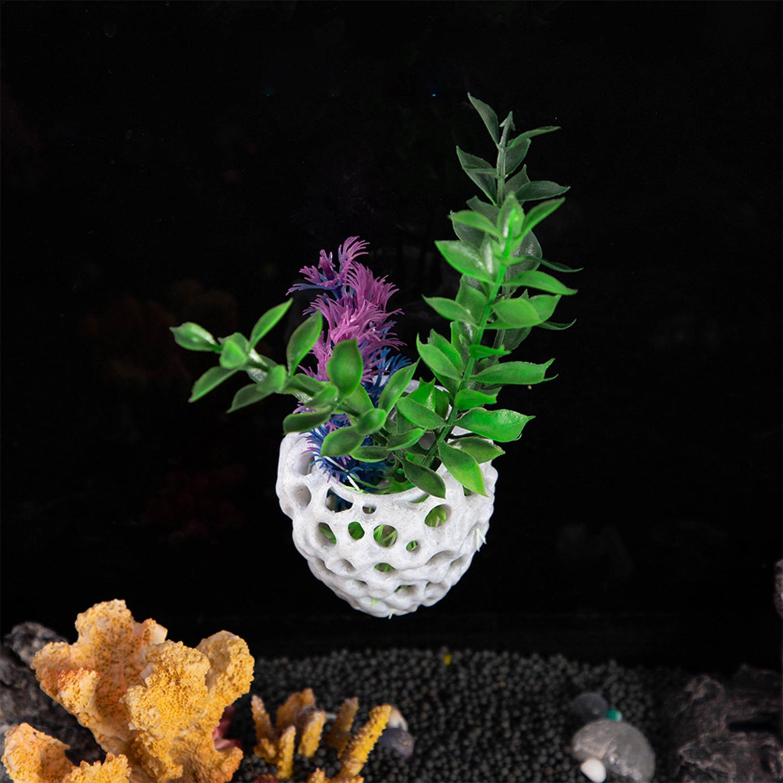 Small Aquarium shrimp house Ca - Aquarium Fish Hiding Spot 评论和价格