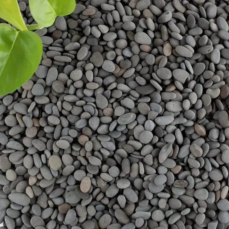 20Pcs Natural River Rocks Smoo - Aquarium Fish Gallery 评论和价格
