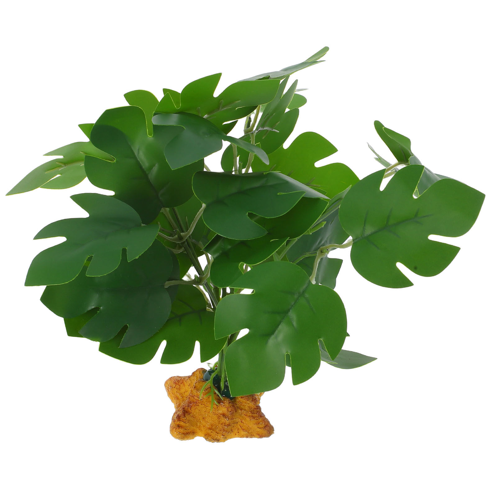 Terrarium Artificial Plants Fi - Aquarium Fish Dragon 评论和价格