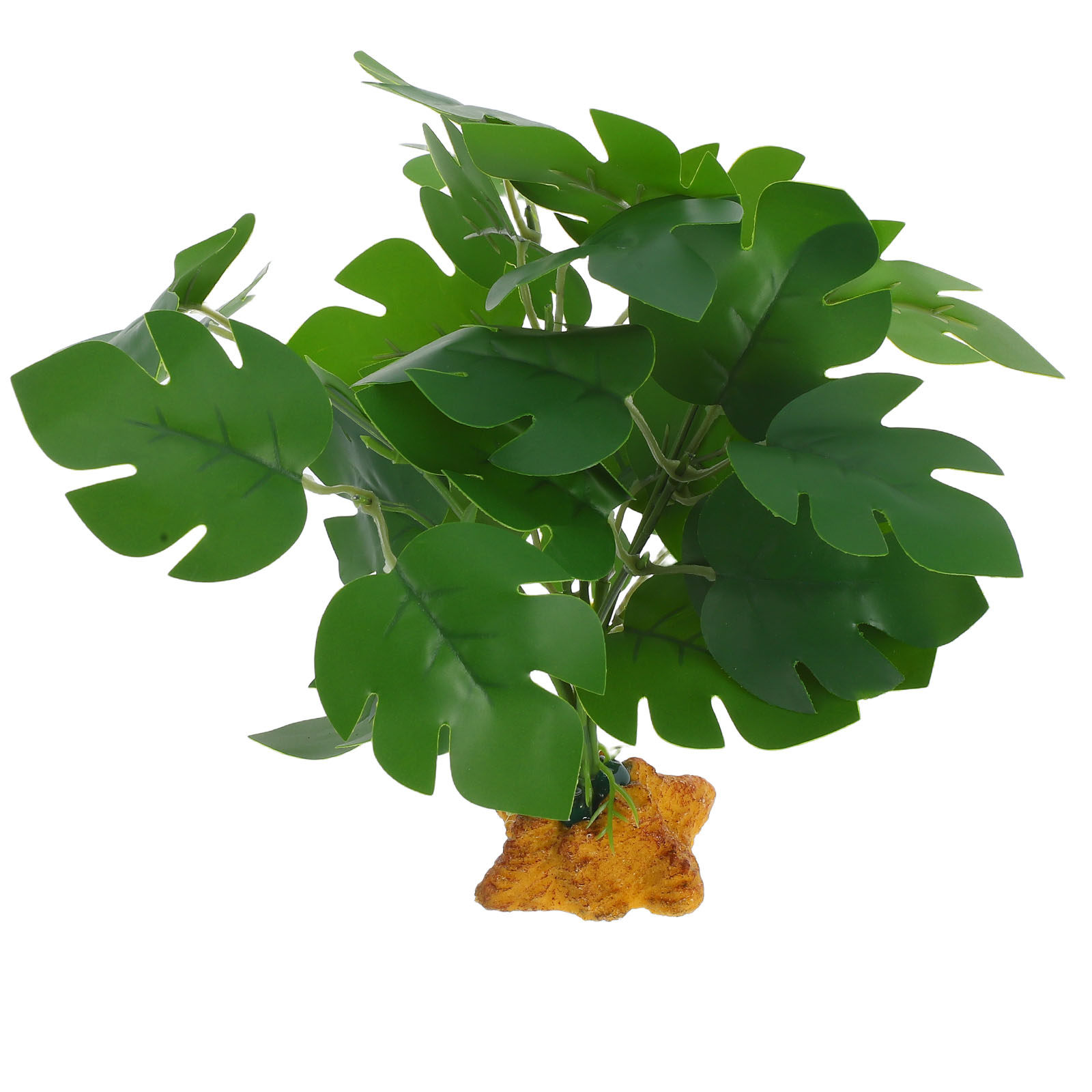 Terrarium Artificial Plants Fi - Aquarium Fish Dragon 评论和价格
