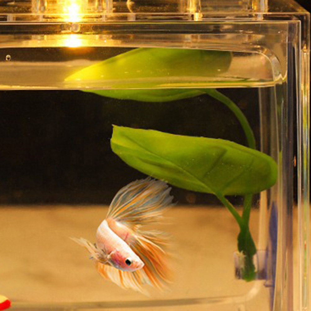 2Pcs Betta Leaf Sleeping Hammo - Aquarium Fish Hiding Spot 评论和价格