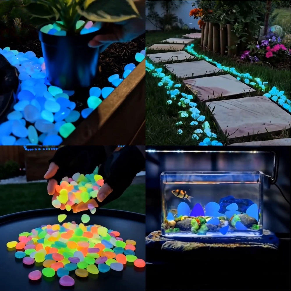 Colorful Glow In The Dark Lumi - Aquarium Fish Pot 评论和价格