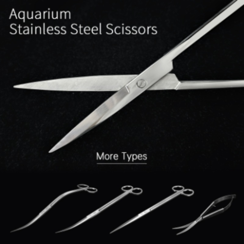 Week Aqua Stainless Steel Aqua - Aquarium Fish Quarantine 评论和价格