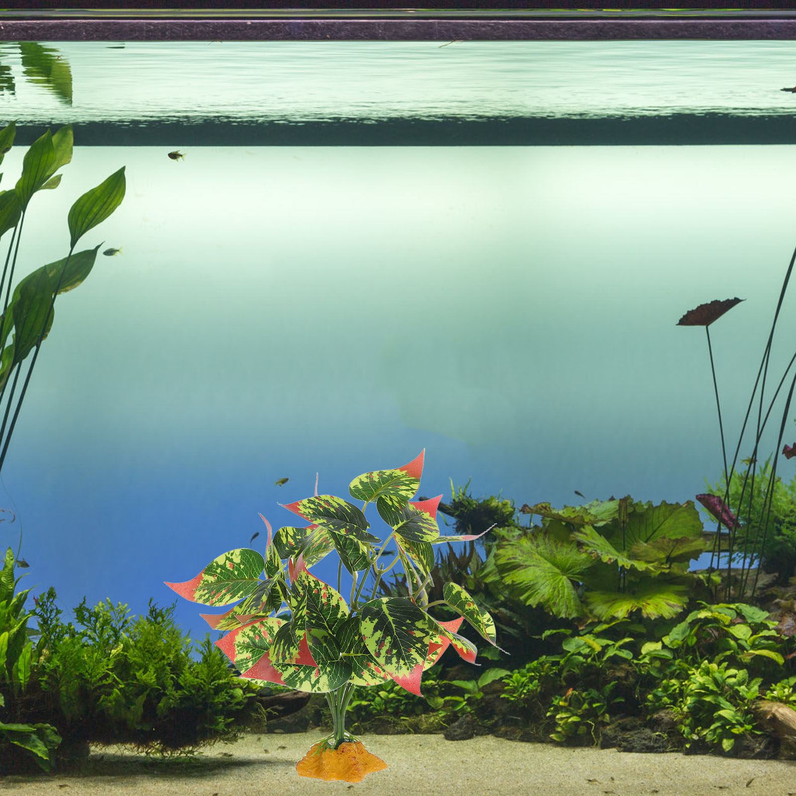 Lifelike ABS Artificial Plants - Aquarium Fish Dragon 评论和价格