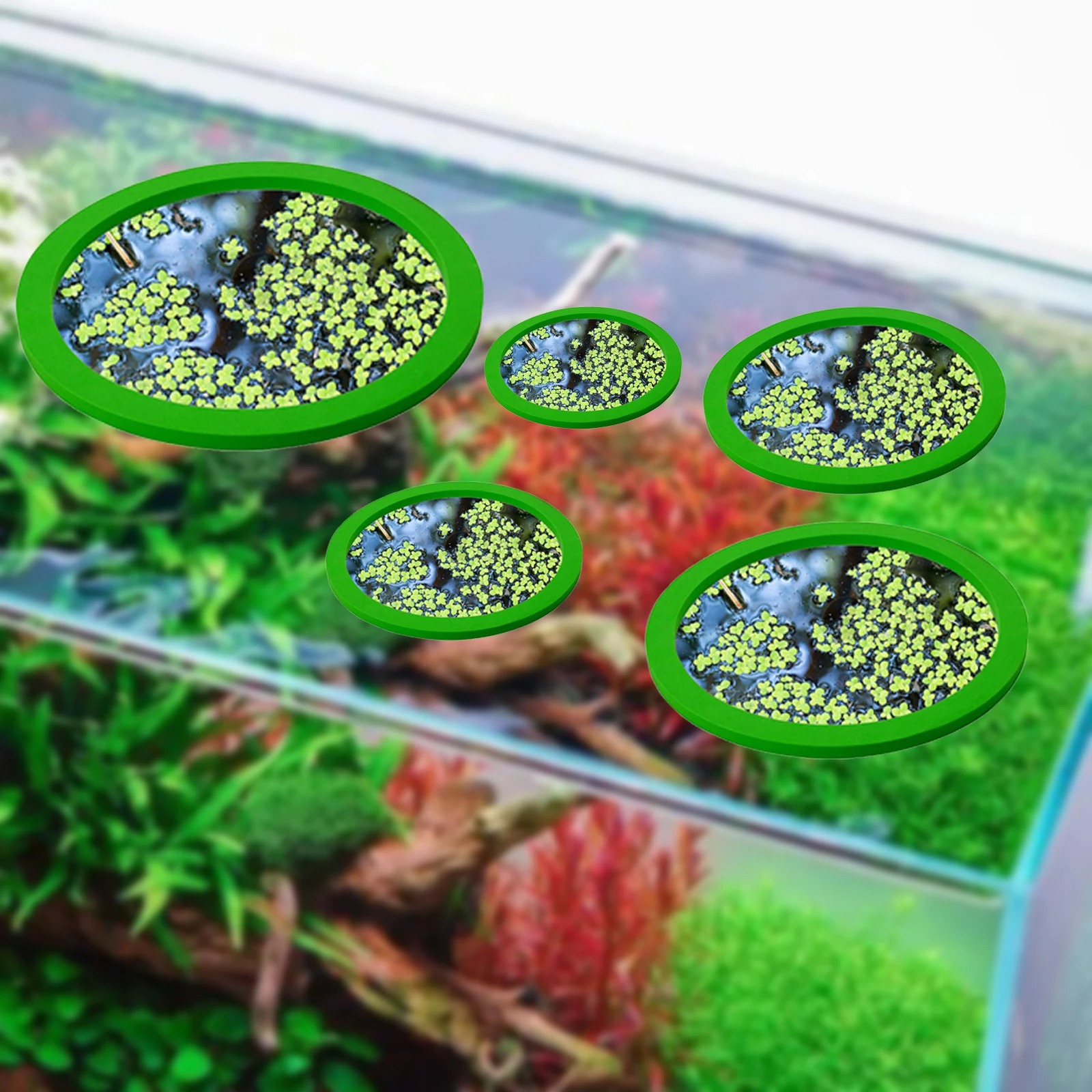 5Pcs EVA Fish Feeding Ring Aqu - Aquarium Fish Gallery 评论和价格