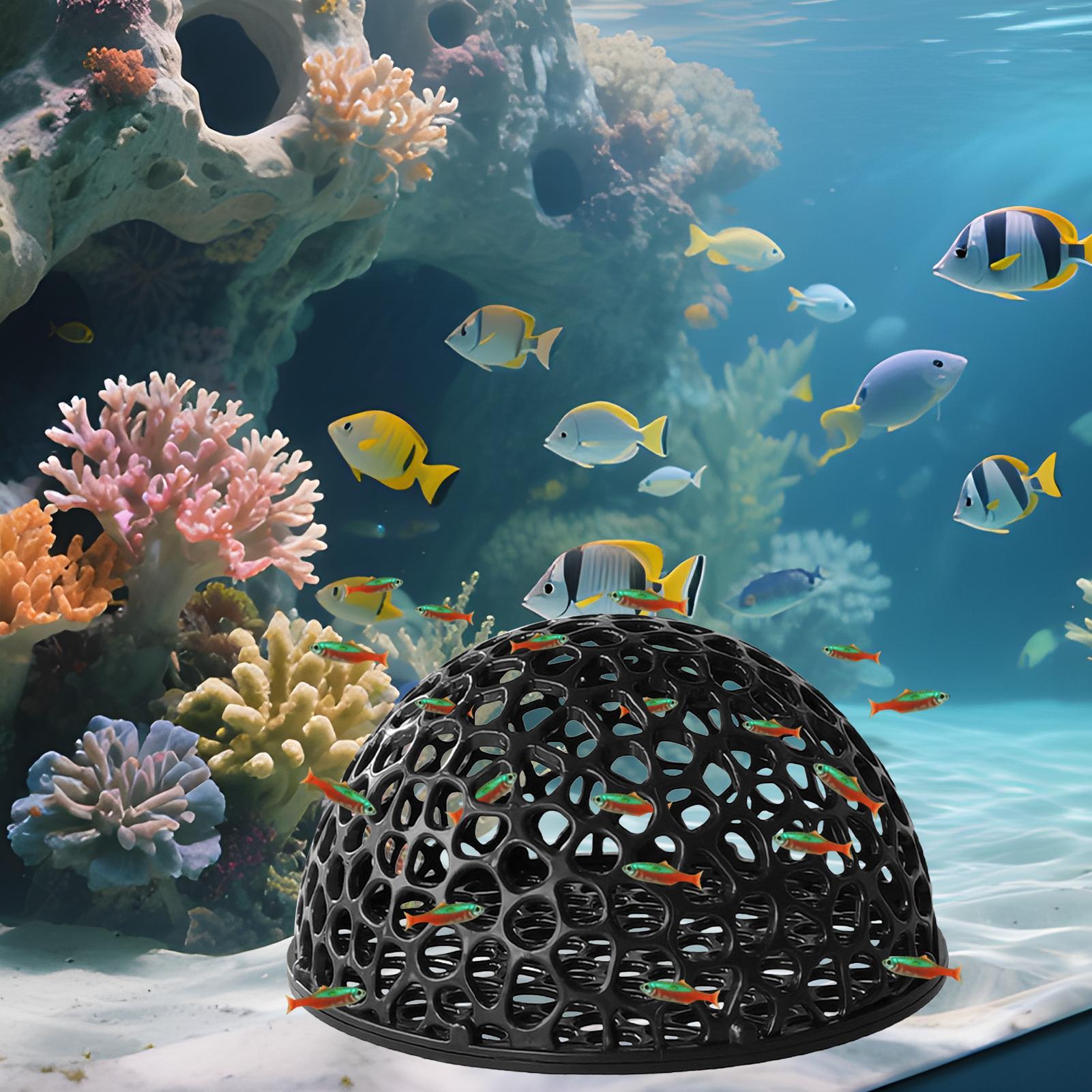 Aquarium Shrimp House Cave Min - Aquarium Fish Hiding Spot 评论和价格