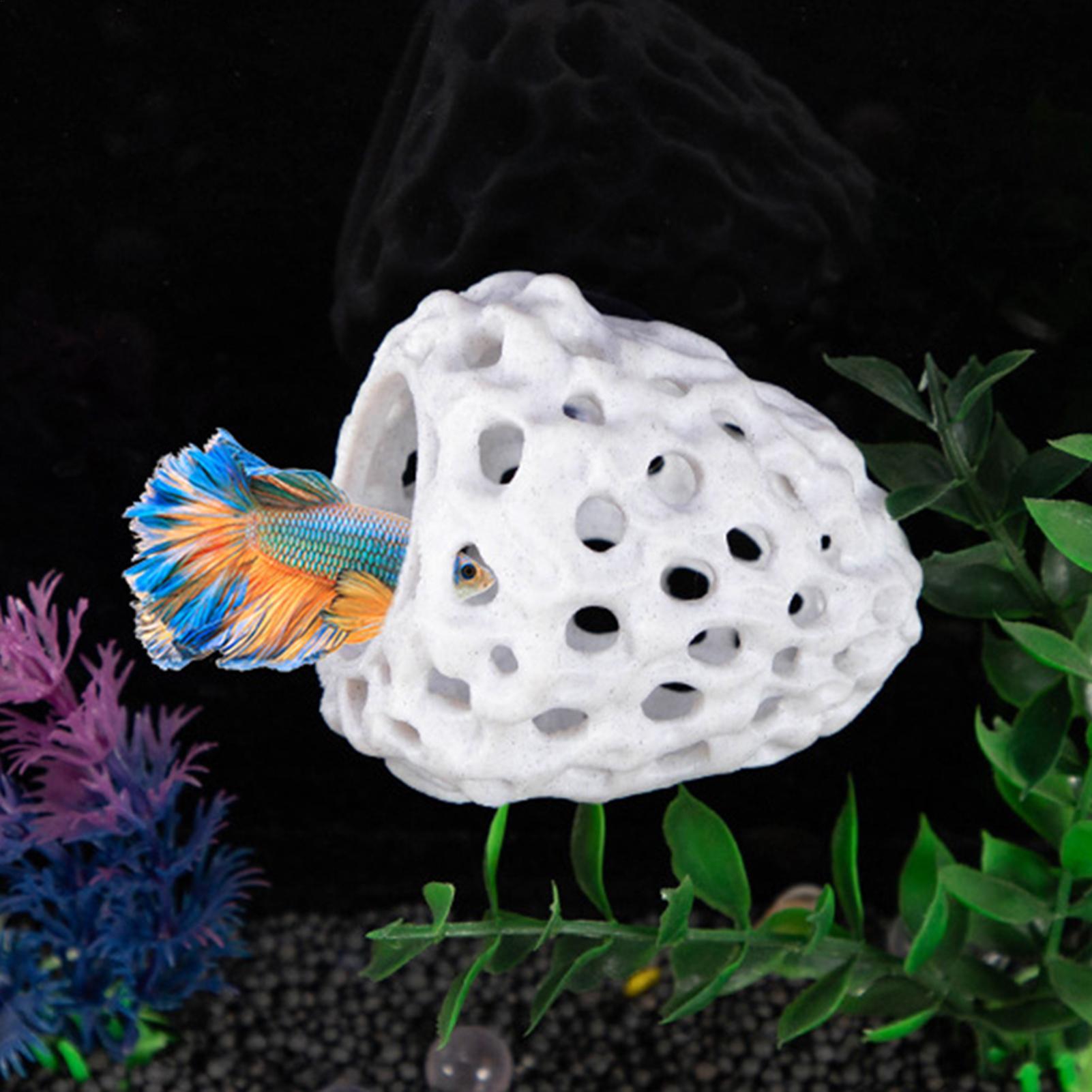Aquarium shrimp house Cave Min - Aquarium Fish Hiding Spot 评论和价格
