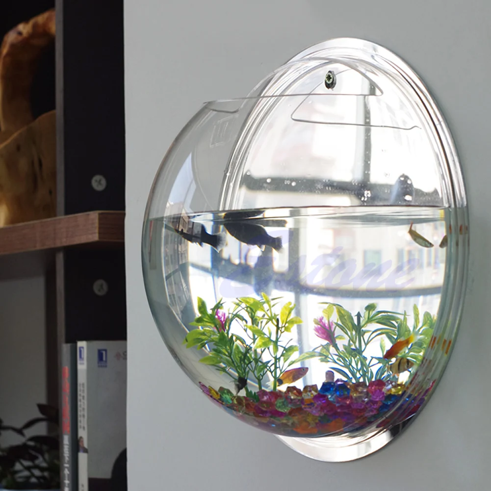 Pot Wall Hanging Mount Bubble  - Aquarium Fish Pot 评论和价格
