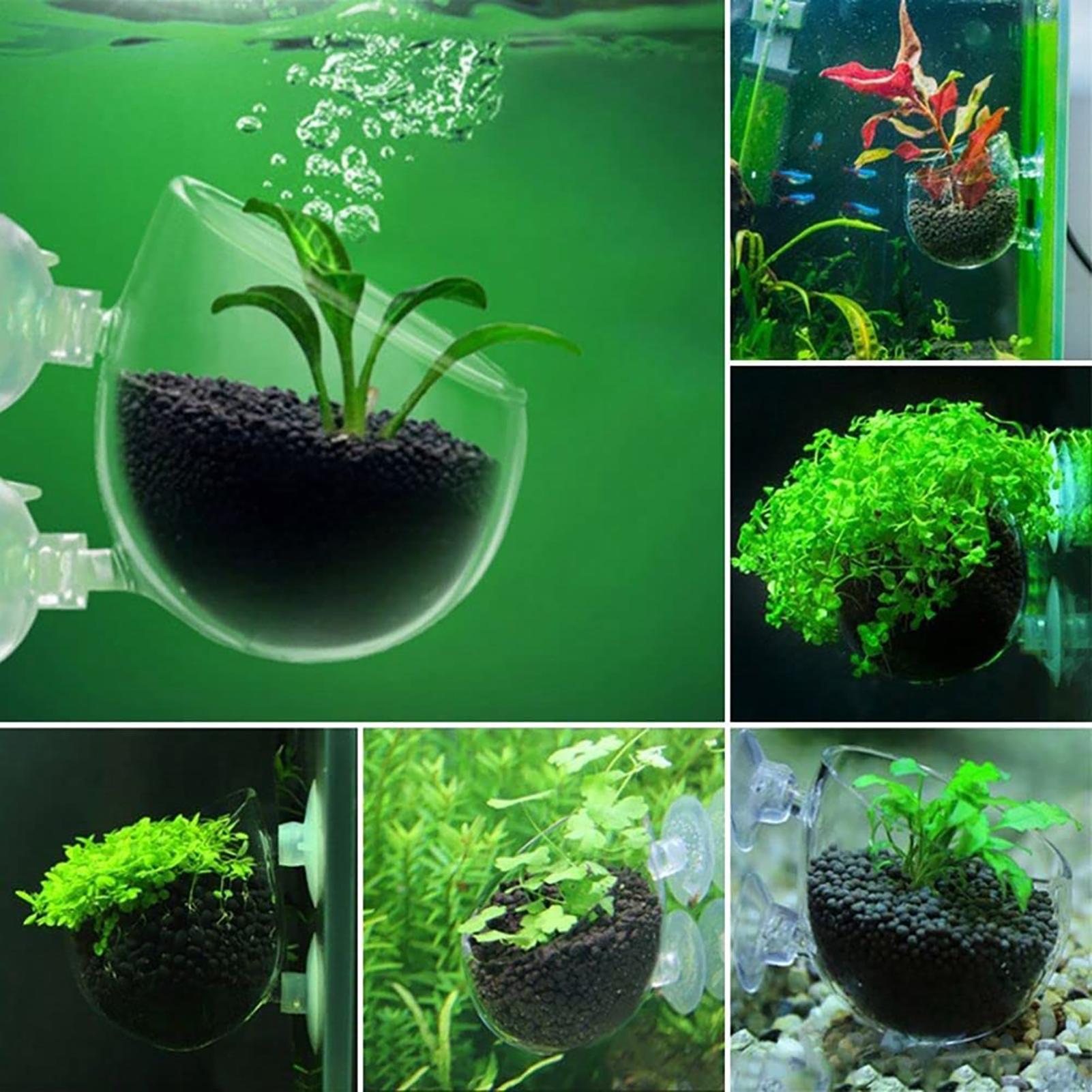 Aquatic Plant Pot Acrylic Aqua - Aquarium Fish Pot 评论和价格