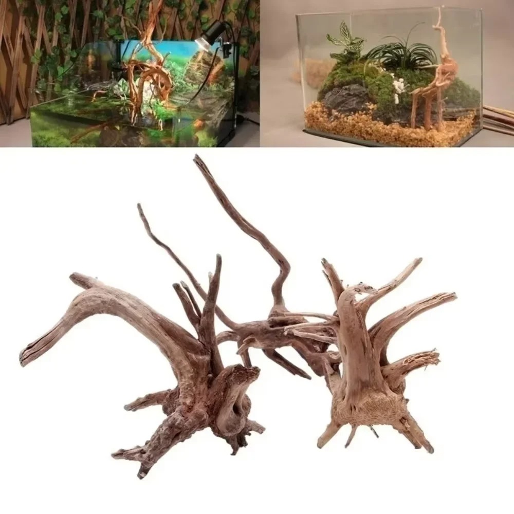 （15-20cm） Natural Driftwood Aq - Aquarium Fish Gallery 评论和价格