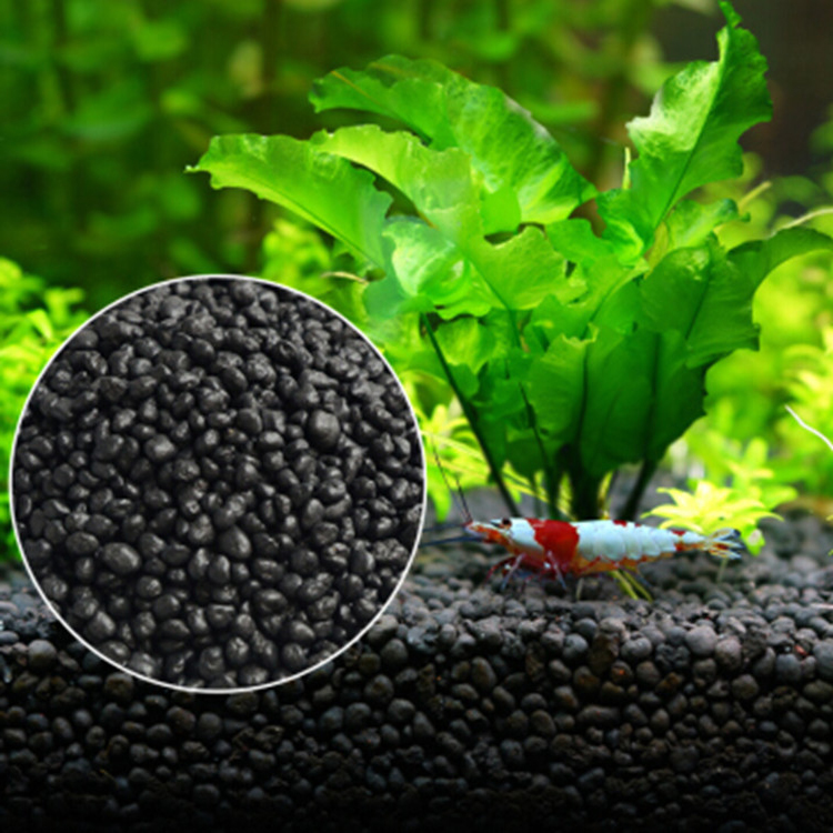 Aquarium Plant Seeds Soil Fish - Aquarium Fish Gallery 评论和价格