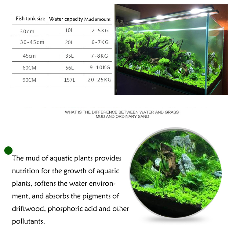 Aquarium Plant Seeds Soil Fish - Aquarium Fish Gallery 评论和价格