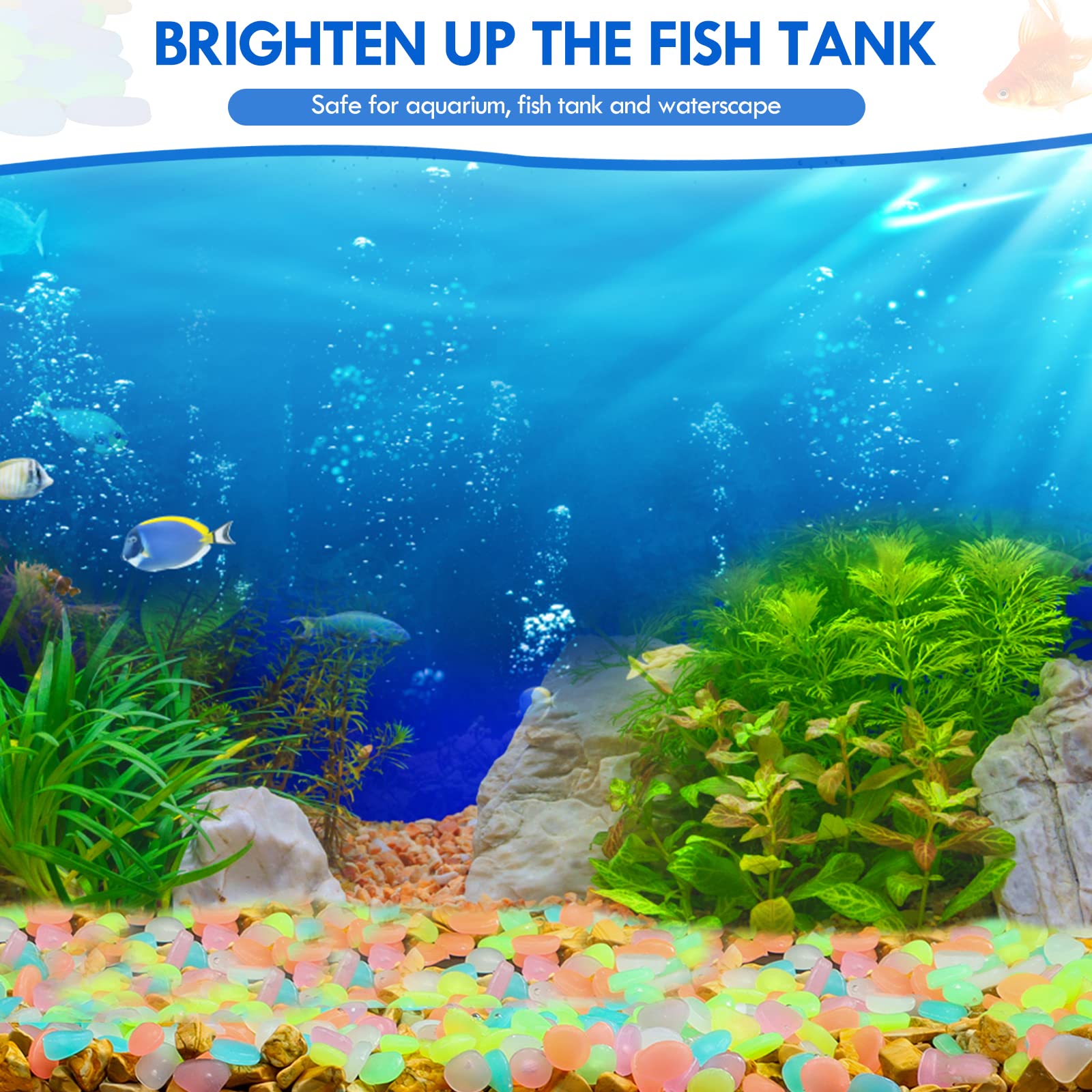 100Pcs Glow in the Dark Garden - Aquarium Fish Gallery 评论和价格