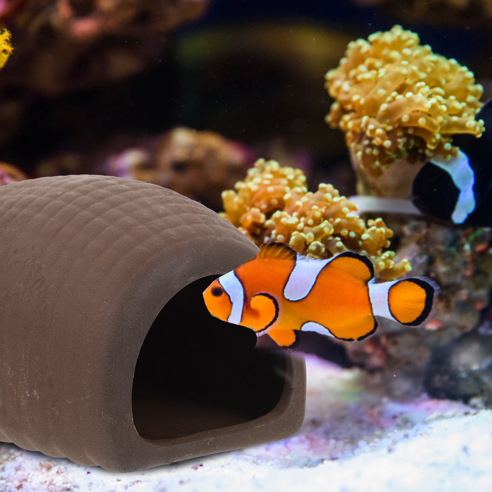 2Pcs Ceramic Aquarium Decor Fi - Aquarium Fish Hiding Spot 评论和价格