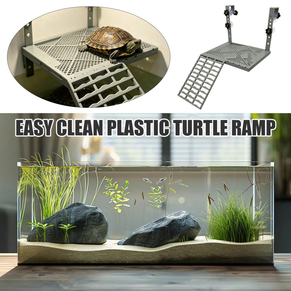 Aquarium Decoration Solid Form - Aquarium Fish Gallery 评论和价格