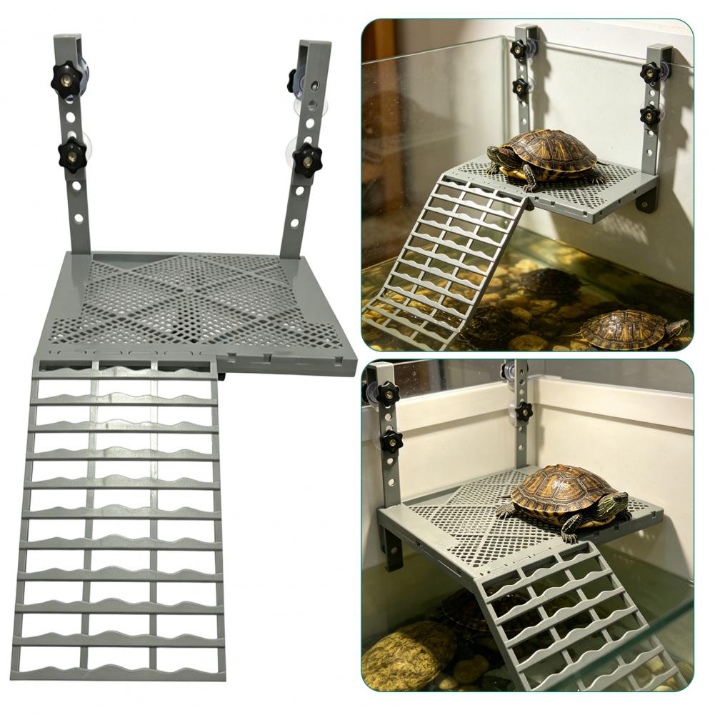 Aquarium Decoration Solid Form - Aquarium Fish Gallery 评论和价格