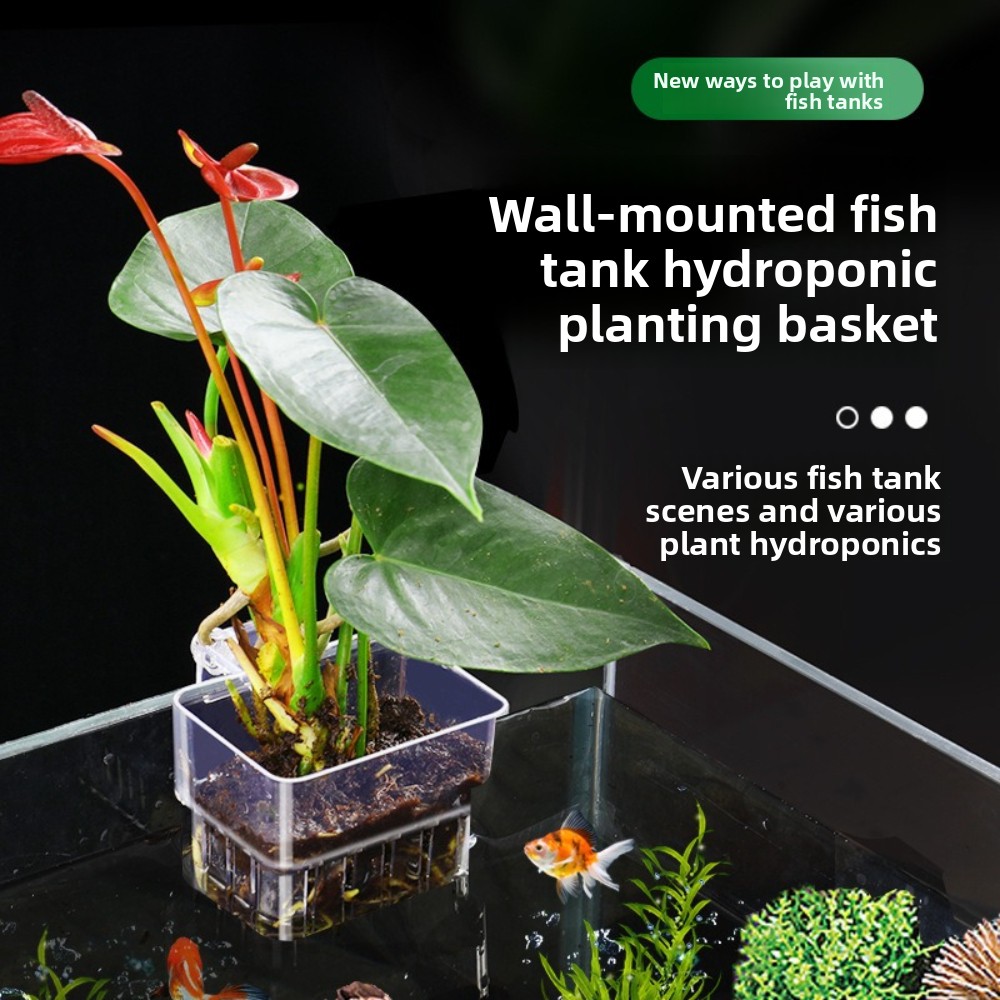 Aquarium Hydroponic Planting B - Aquarium Fish Pot 评论和价格