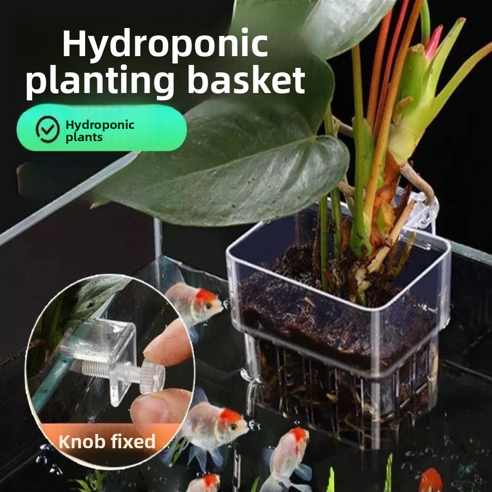 Aquarium Hydroponic Planting B - Aquarium Fish Pot 评论和价格