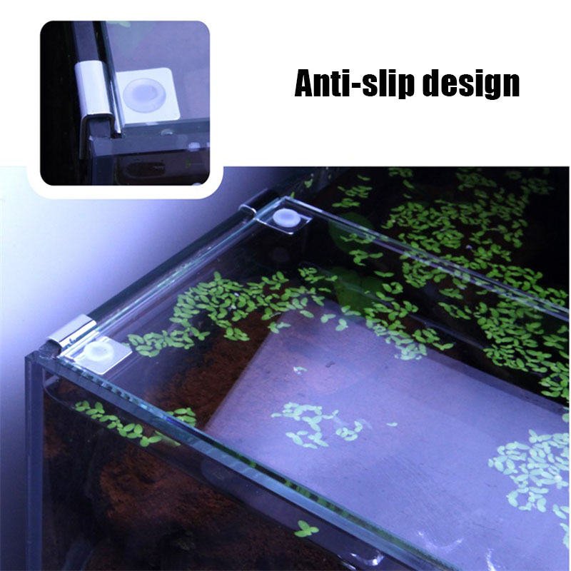 4Pcs Stainless Steel Aquarium  - Aquarium Fish Quarantine 评论和价格